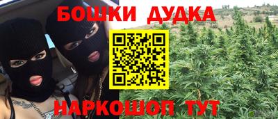 спайс Владимир