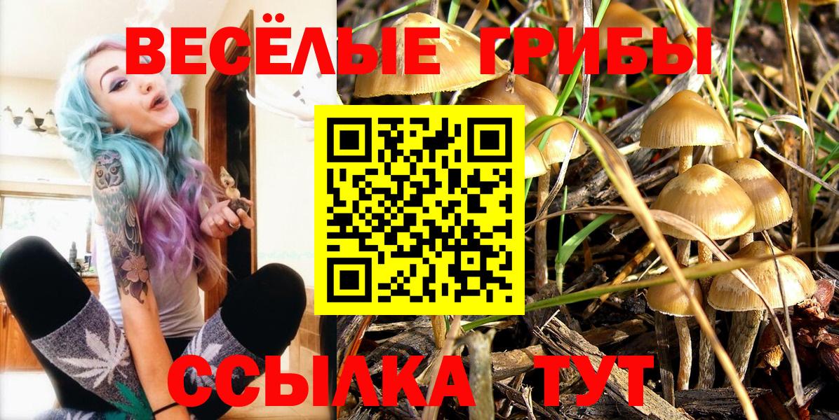 Псилоцибиновые грибы мухоморы  купить наркоту  Воркута  Вход с VPN 